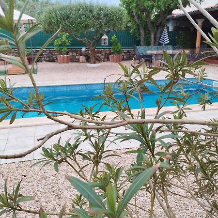 Villa Lucky Brtonigla Εξωτερικό φωτογραφία