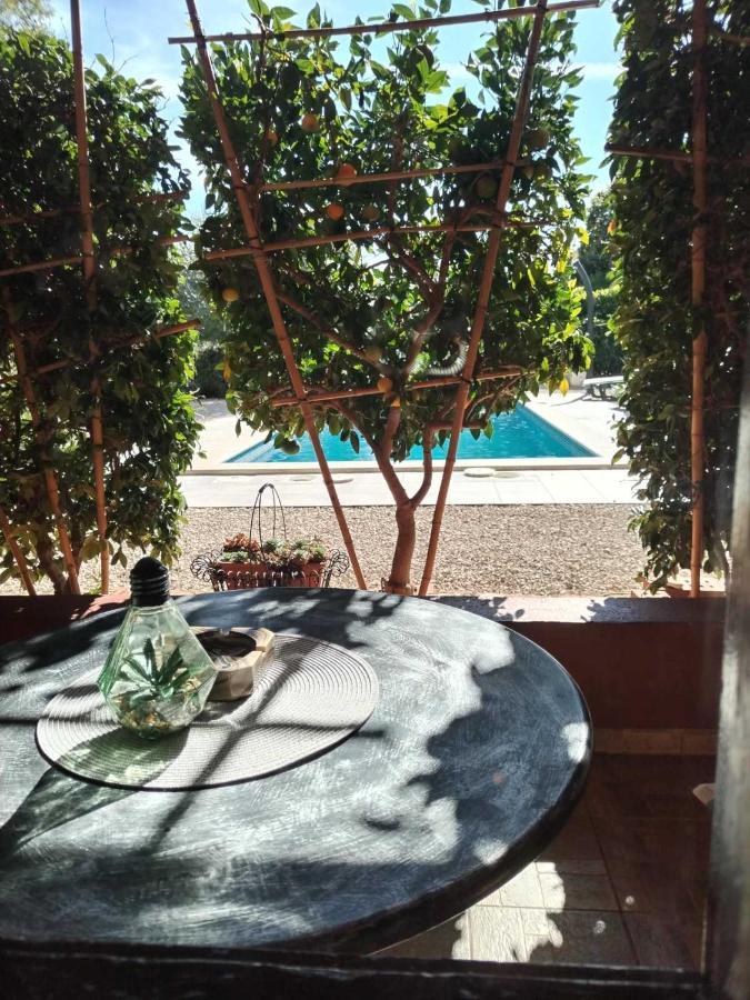 Villa Lucky Brtonigla Εξωτερικό φωτογραφία